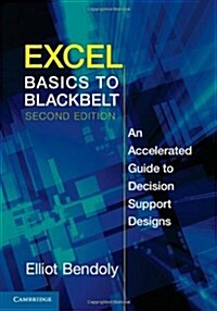 [중고] Excel Basics to Blackbelt : An Accelerated Guide to Decision Support Designs (Paperback, 2 Revised edition)