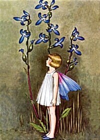 Fairy with Blue Lobelia Blank Greeting Card [With 6 Envelopes] (Other)