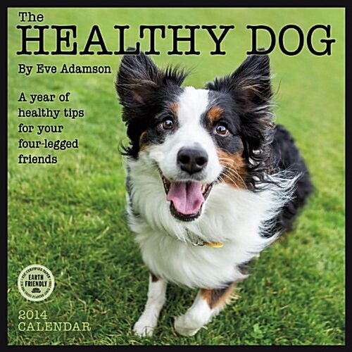 Healthy Dog 2014 Calendar (Paperback, Wall)