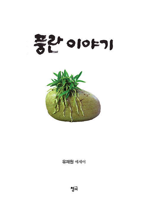 풍란 이야기