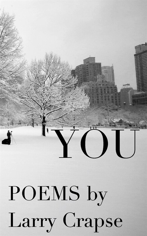 you (Paperback)