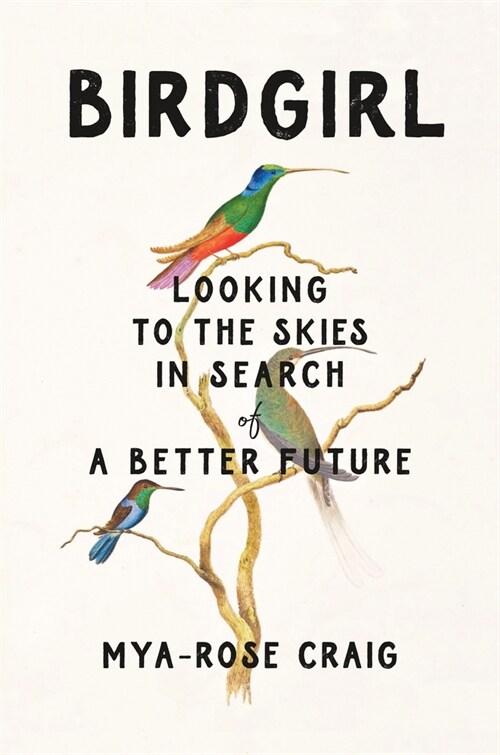 Birdgirl: Looking to the Skies in Search of a Better Future (Hardcover)