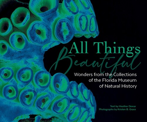 All Things Beautiful: Wonders from the Collections of the Florida Museum of Natural History (Hardcover)