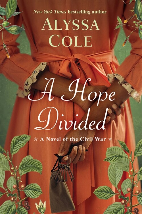 A Hope Divided (Paperback)