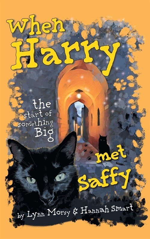 When Harry Met Saffy: The Start of Something Big (Hardcover)