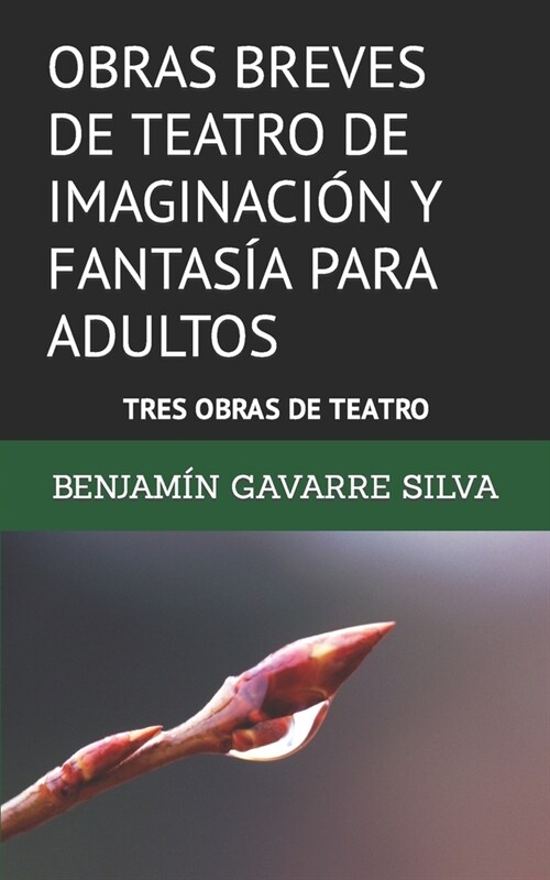 Obras Breves de Teatro de Imaginaci? Y Fantas? Para Adultos: Tres Obras de Teatro (Paperback)