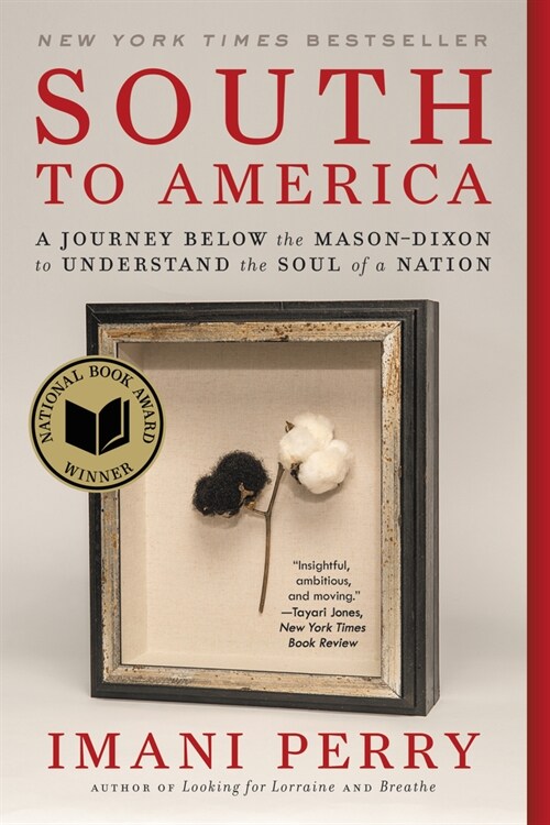 South to America: A Journey Below the Mason-Dixon to Understand the Soul of a Nation (Paperback)