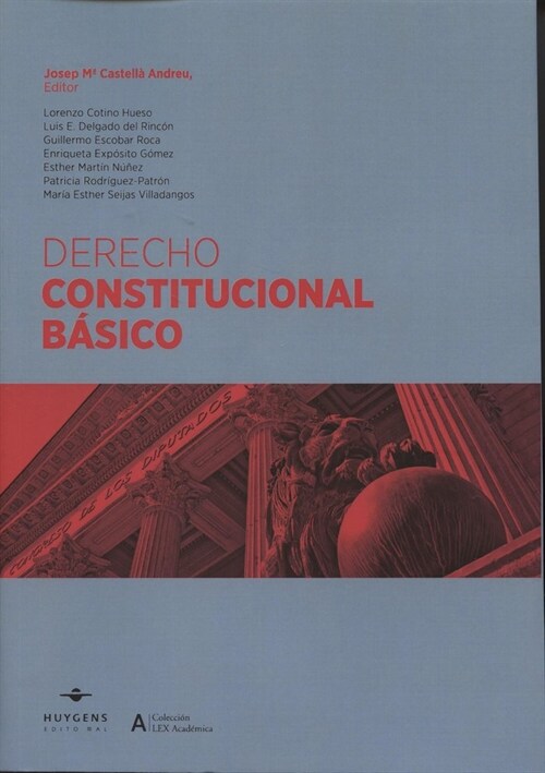 Derecho Constitucional Basico (Paperback)