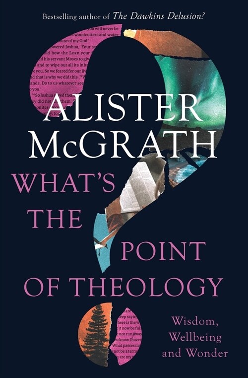 Whats the Point of Theology?: Wisdom, Wellbeing and Wonder (Paperback)