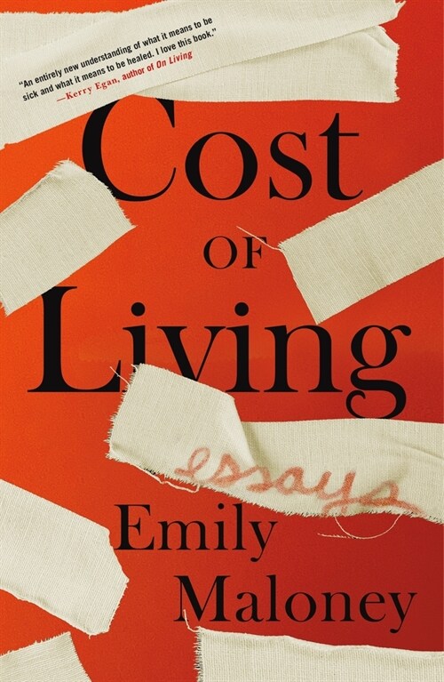 Cost of Living: Essays (Paperback)