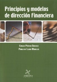 PRINCIPIOS Y MODELOS DE DIRECCION FINANCIERA (Paperback)