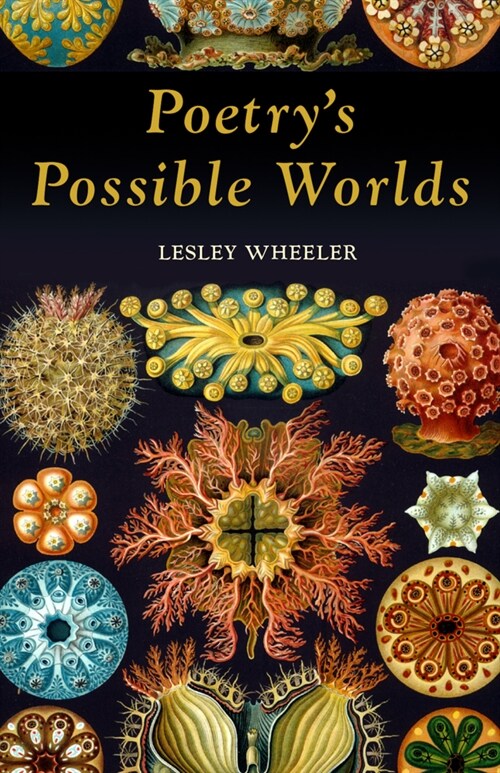 Poetrys Possible Worlds (Paperback)