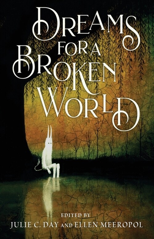 Dreams for a Broken World (Paperback)