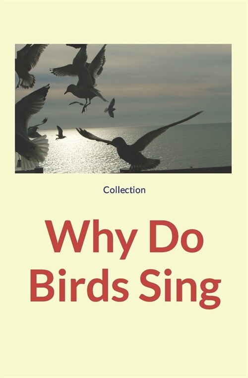 Why Do Birds Sing (Paperback)