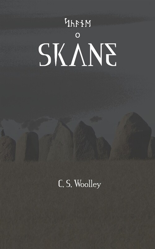 Skane: A kids Viking Adventure (Paperback)