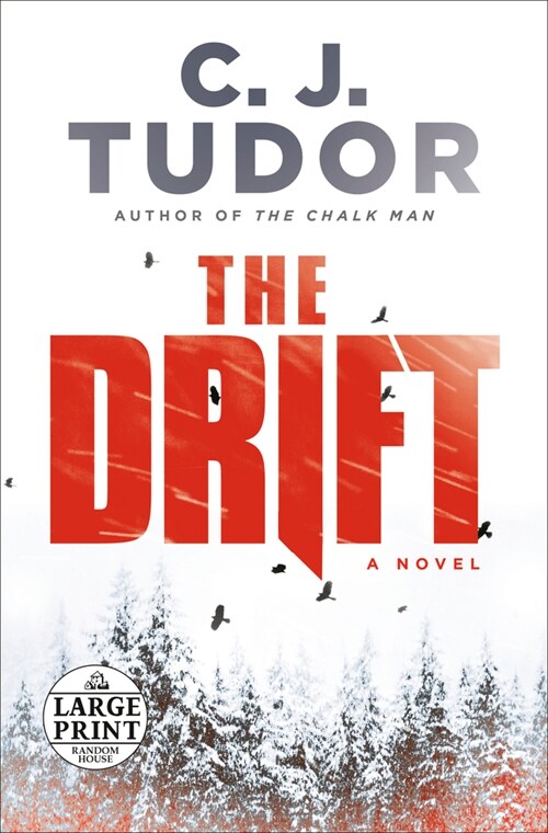 The Drift (Paperback)