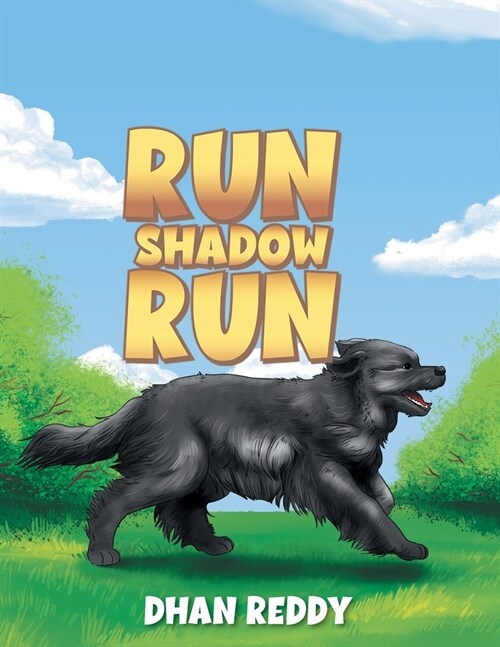 Run Shadow Run (Paperback)