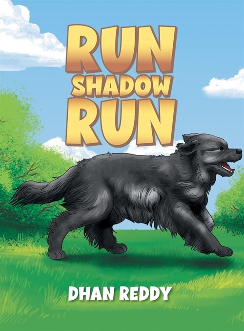 Run Shadow Run (Hardcover)