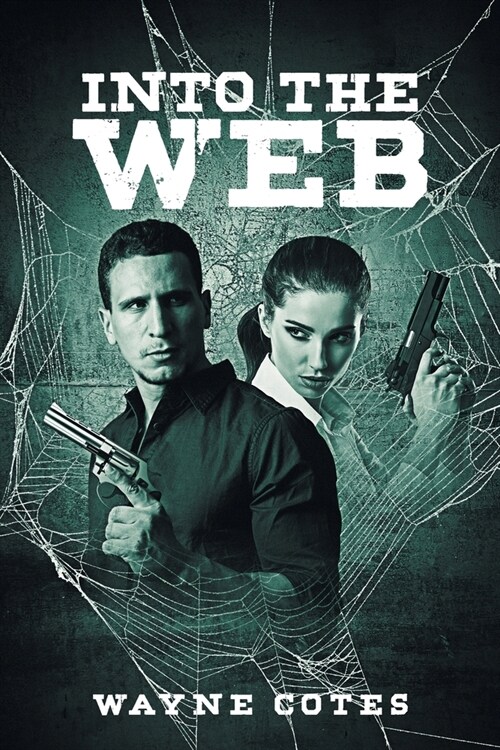 Into The Web (Paperback)