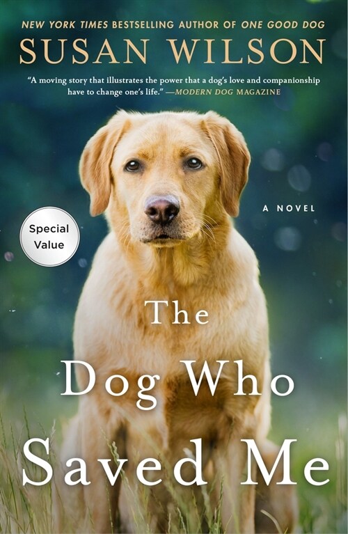 The Dog Who Saved Me (Paperback)