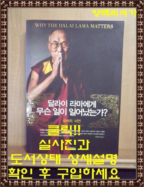 [중고] 달라이 라마에게 무슨 일이 일어났는가