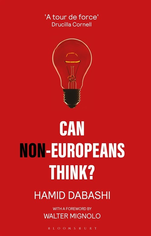 Can Non-Europeans Think? (Paperback)