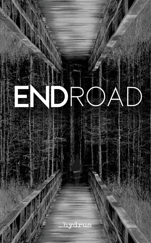 ENDroad (Paperback)