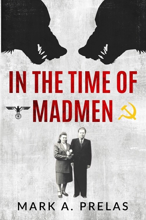 In the Time of Madmen (Paperback)