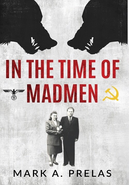 In the Time of Madmen (Hardcover)