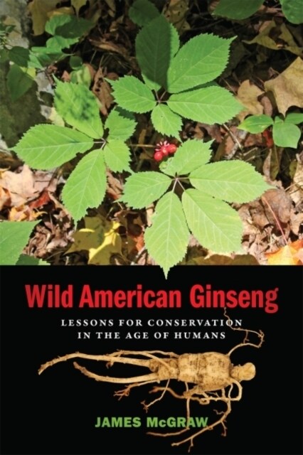 Wild American Ginseng: Lessons for Conservation in the Age of Humans (Paperback)