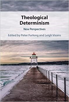 Theological Determinism : New Perspectives (Hardcover)