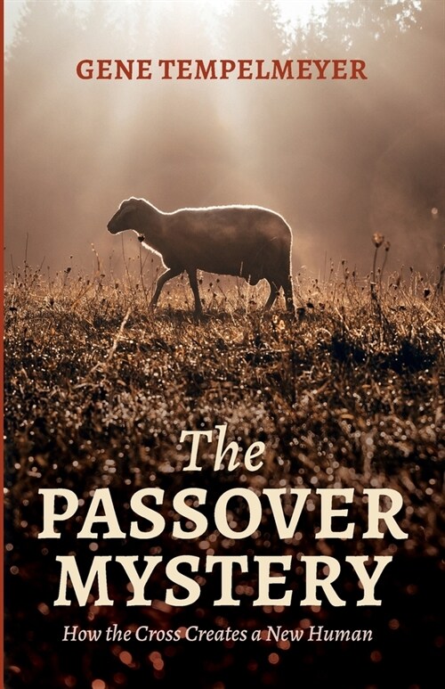 The Passover Mystery (Paperback)