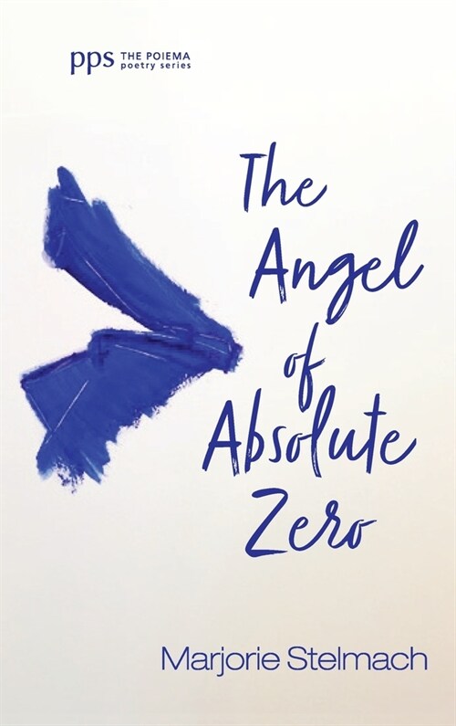 The Angel of Absolute Zero (Hardcover)