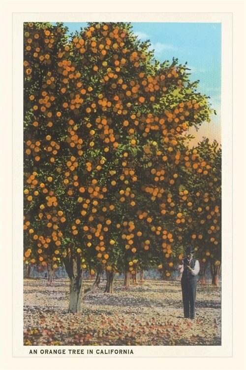 Vintage Journal Orange Grove (Paperback)