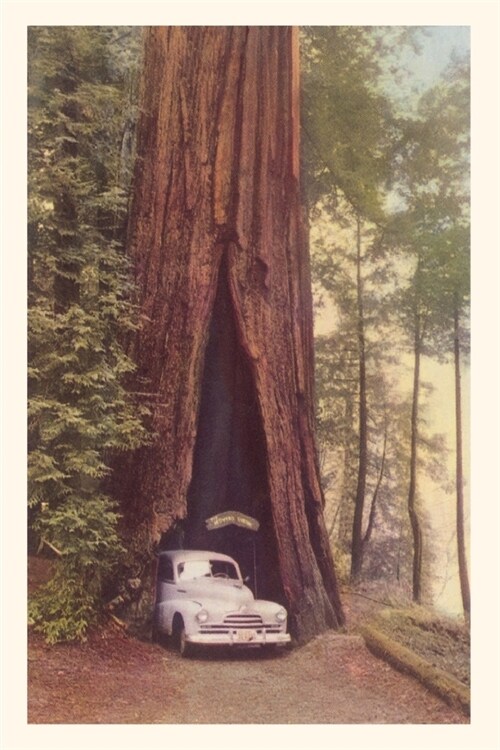 Vintage Journal Redwood and Old Car (Paperback)