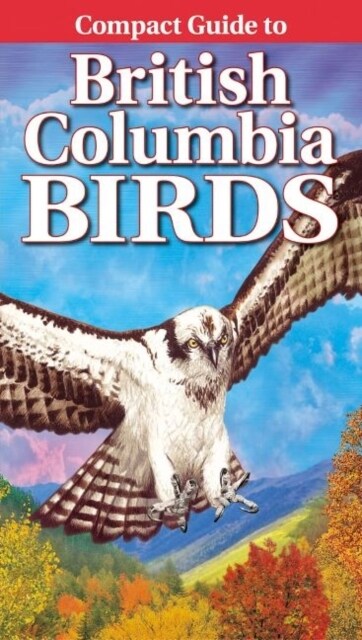 Compact Guide to British Columbia Birds (Paperback)