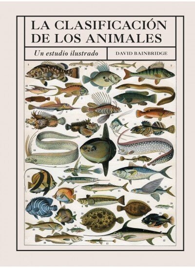 LA CLASIFICACION DE LOS ANIMALES (DH)