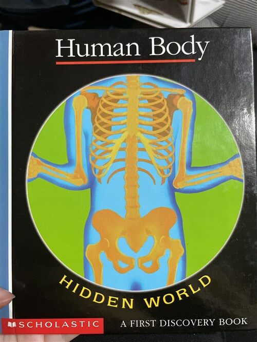 [중고] Human Body (Hidden World)