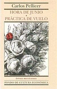 Hora de junio y Practica de vuelo (Paperback)