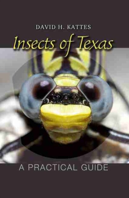 Insects of Texas: A Practical Guide Volume 39 (Paperback)