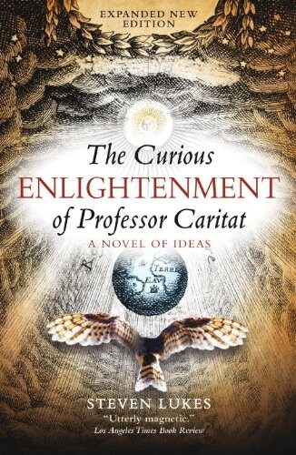 The Curious Enlightenment of Professor Caritat : A Novel of Ideas (Paperback, 2 ed)