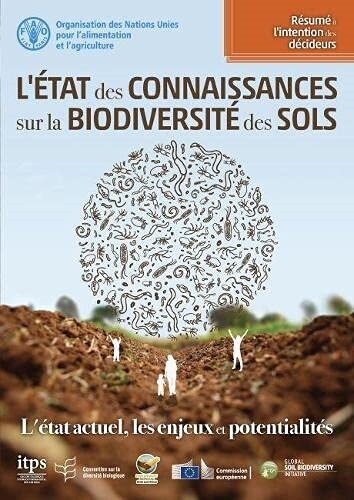 Letat des connaissances sur la biodiversite des sols : Letat actuel, les enjeux et potentialites. Resume a lintention des decideurs (Paperback)