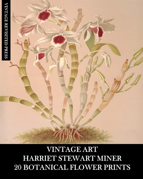 Vintage Art: Harriet Stewart Miner: 20 Botanical Flower Prints: Orchid Ephemera for Framing, Home Decor and Collages (Paperback)