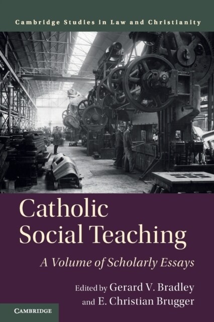 Catholic Social Teaching : A Volume of Scholarly Essays (Paperback)