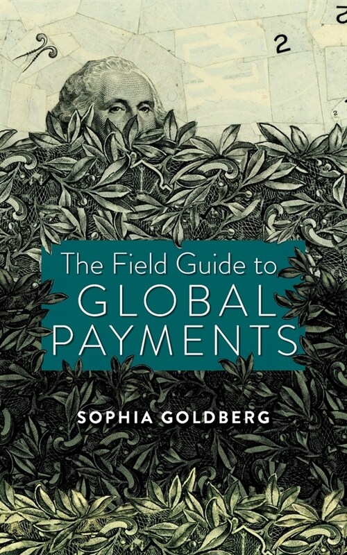 The Field Guide to Global Payments (Paperback)