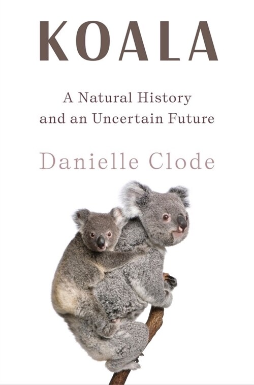 Koala: A Natural History and an Uncertain Future (Hardcover)