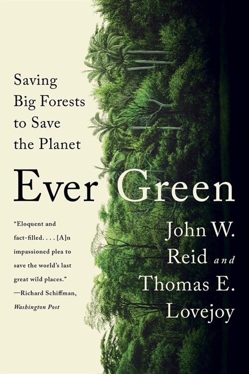 Ever Green: Saving Big Forests to Save the Planet (Paperback)