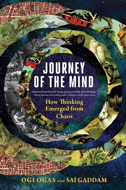 Journey of the Mind: How Thinking Emerged from Chaos (Paperback)