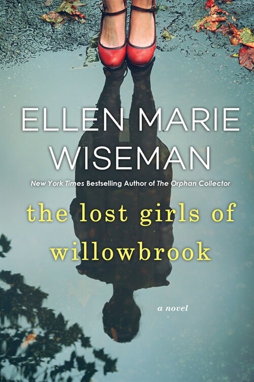 The Lost Girls of Willowbrook: A Heartbreaking Novel of Survival Based on True History (Paperback)