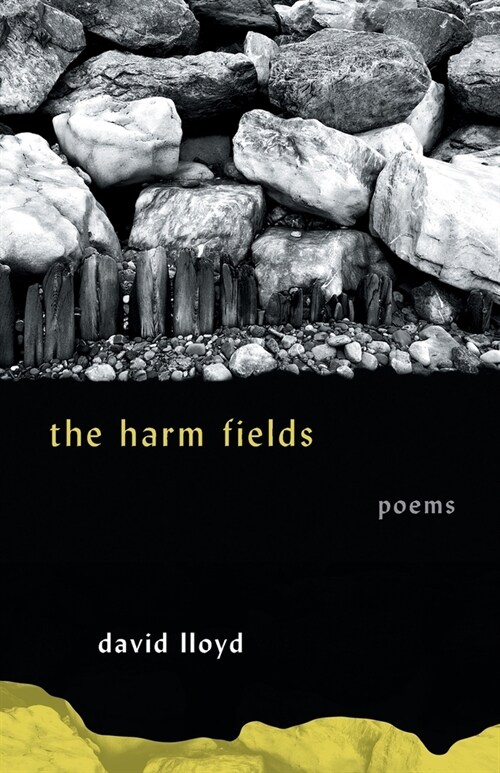 The Harm Fields: Poems (Paperback)